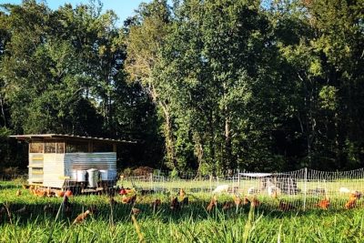 Farms