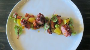 Bardo Charlotte octopus