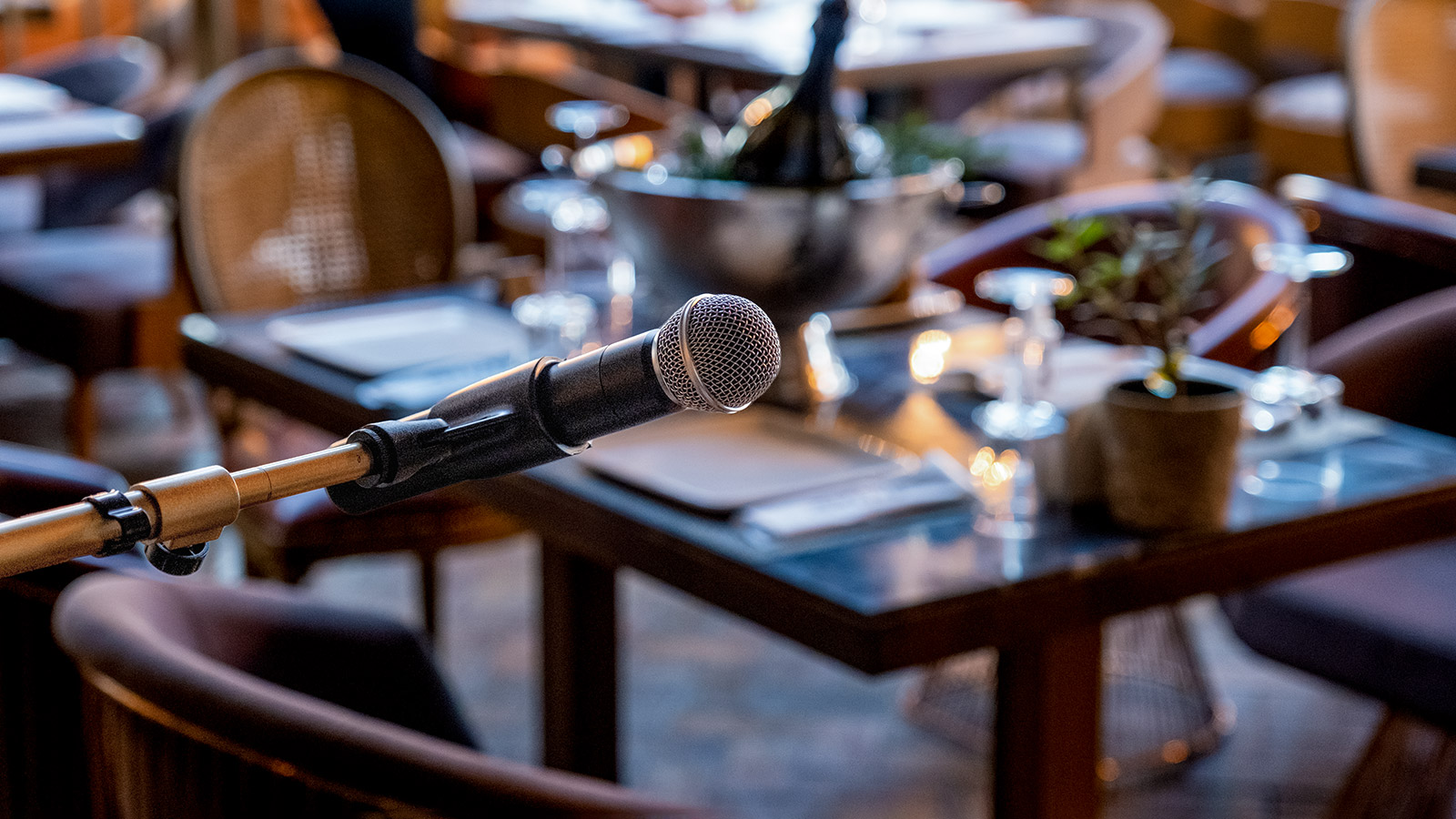 Where to enjoy live music while dining in Charlotte – Unpretentious Palate